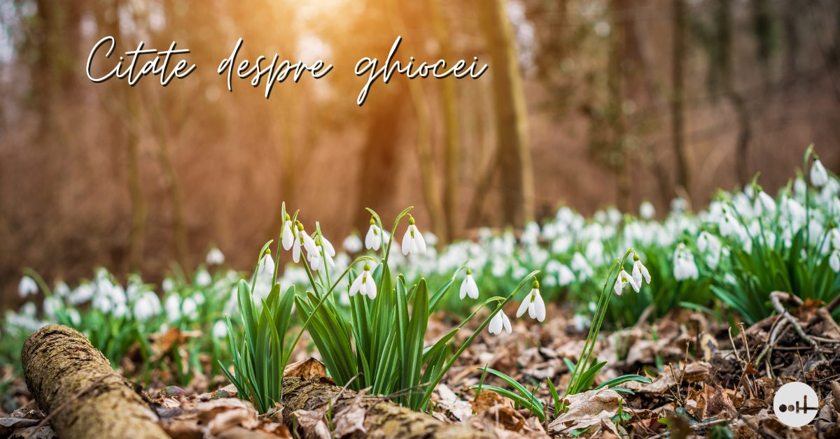 citate despre ghiocei