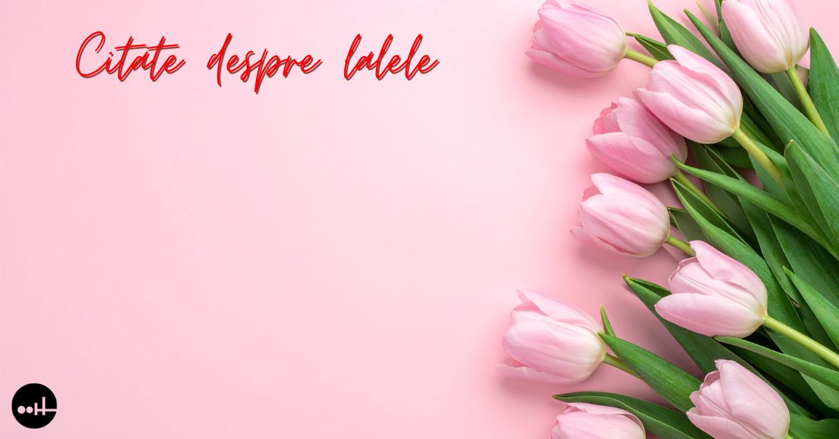 Citate despre lalele