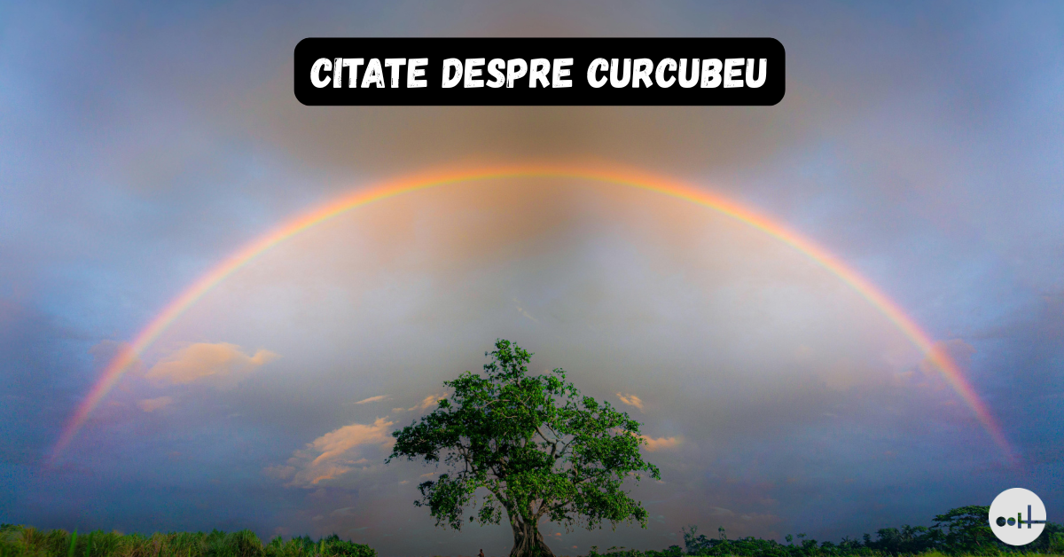 citate despre curcubeu